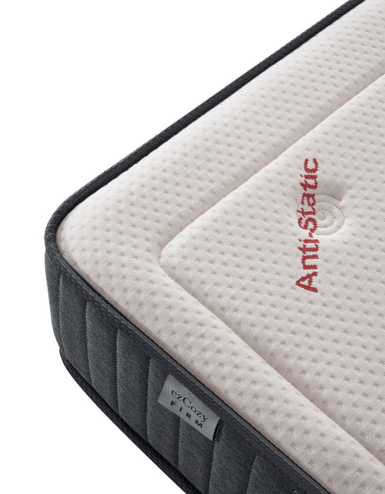 Epitex ezCozy Mattress - Free Waterproof Mattress Protector + Diatomite Mat (6 - 19 Feb) - Epitex