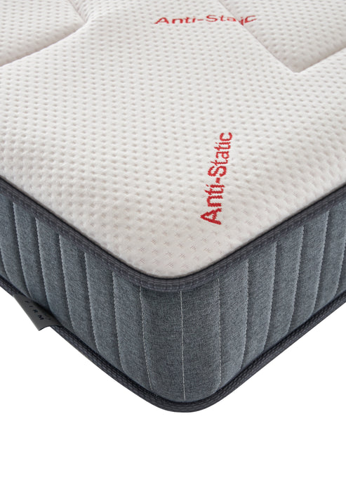 Epitex ezCozy Mattress - Free Waterproof Mattress Protector + Diatomite Mat (6 - 19 Feb) - Epitex