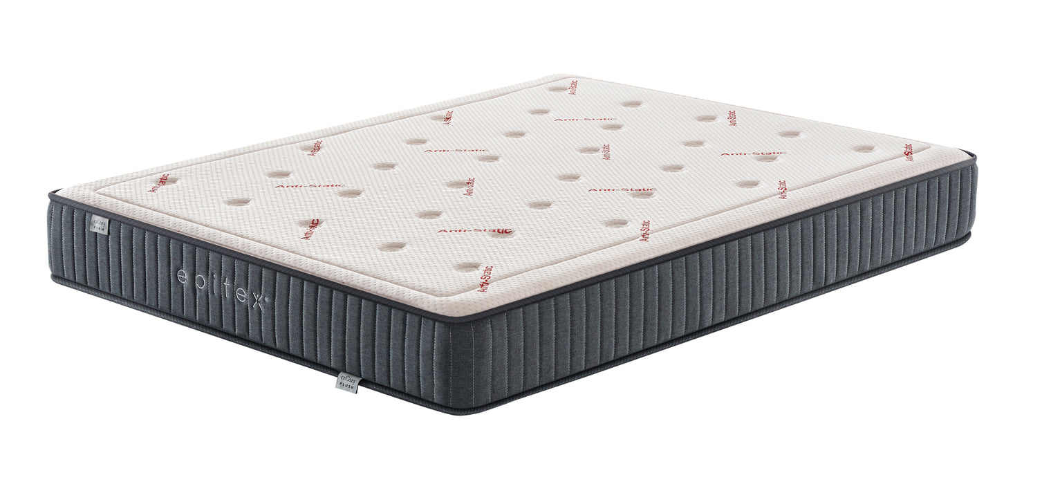 Epitex ezCozy Mattress - Free Waterproof Mattress Protector + Diatomite Mat (6 - 19 Feb) - Epitex