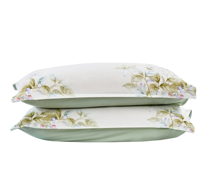 Epinova 1000TC 100% Pure Cotton Printed Bedsheet Set | Fitted Sheet | Bedding Set