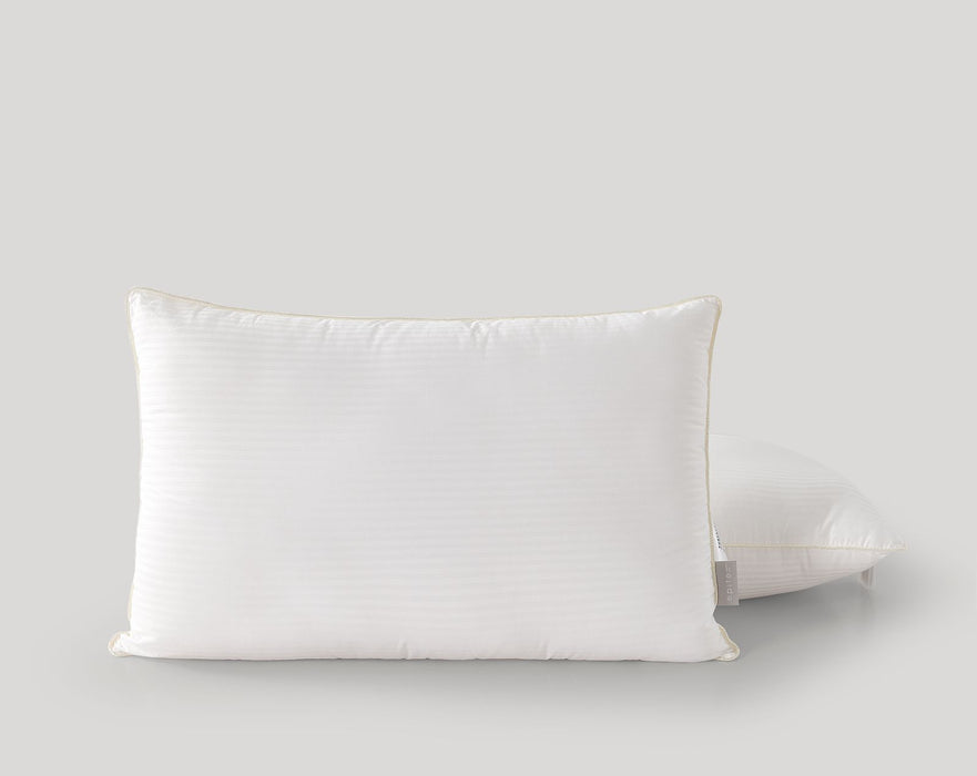 (New Arrival) Epitex PureAura Anti-Odour Pillow 1200g