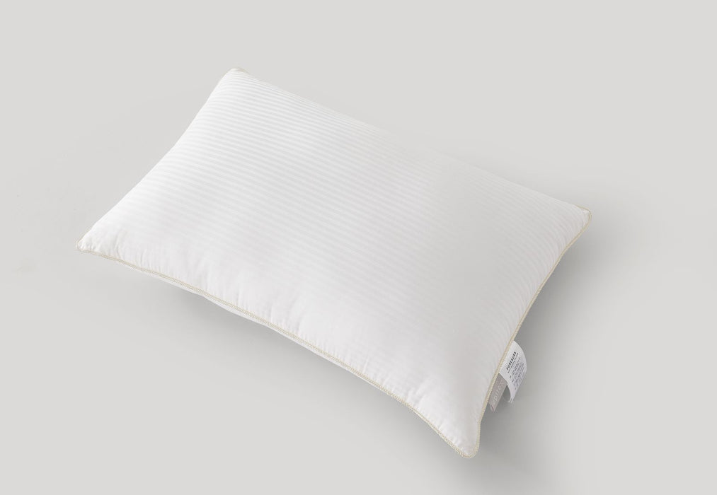 (New Arrival) Epitex PureAura Anti-Odour Pillow 1200g