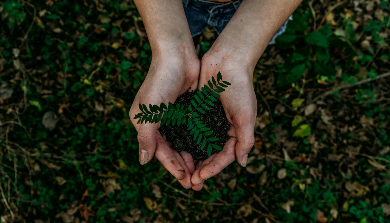 Eco-Friendly Comfort: Sleep Well with Peace of Mind
