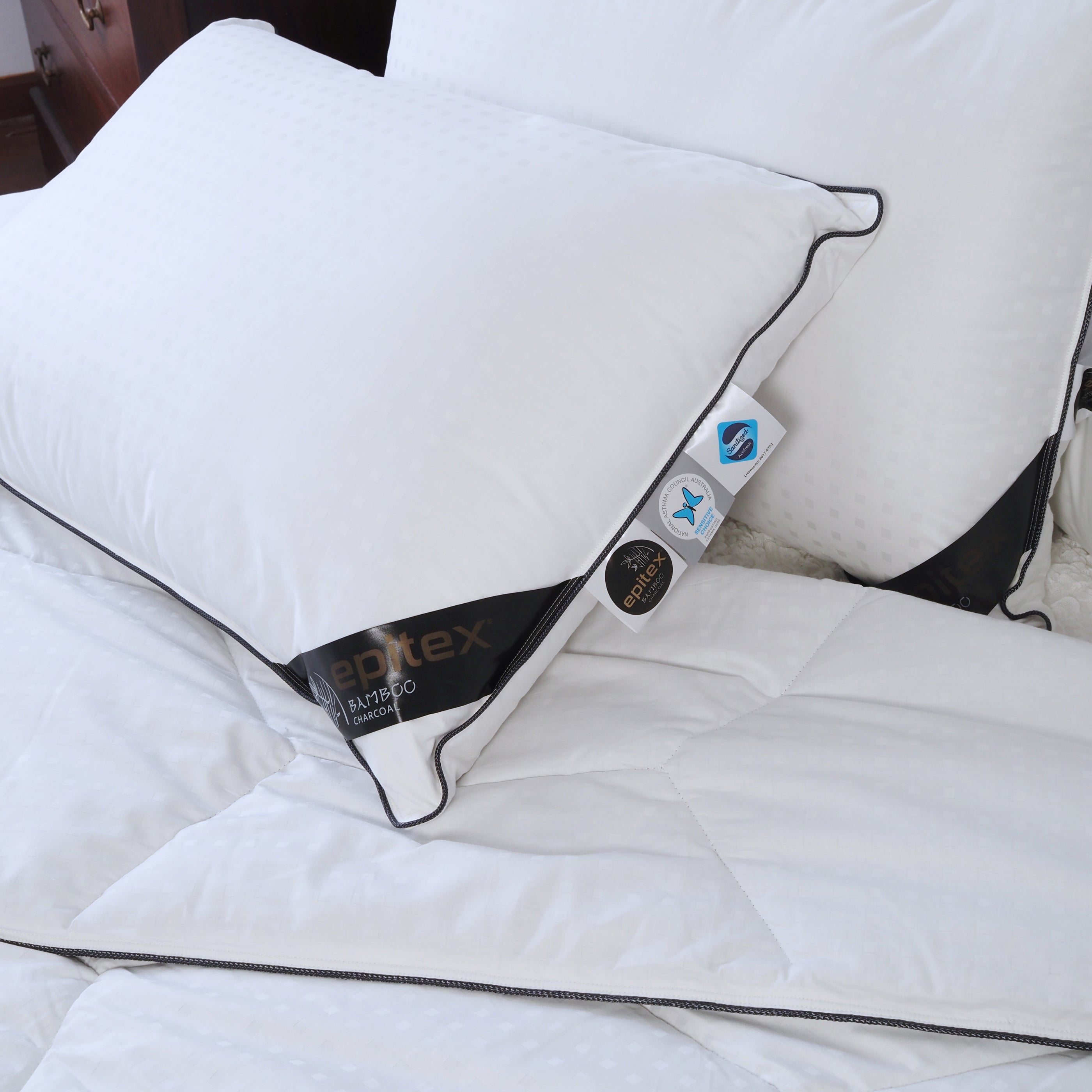Epitex Bamboo Charcoal Regular Pillow