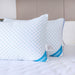 Epitex Ultracool Cryocool Silken Pillow (2 Types) - Epitex